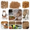Lini Produksi Makanan Anjing Kapasitas 120kg/Jam Efisiensi Tinggi